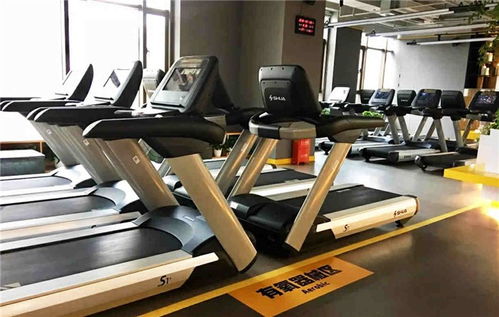 襄陽戶外健身器材 舒揚(yáng)文體用品 圖