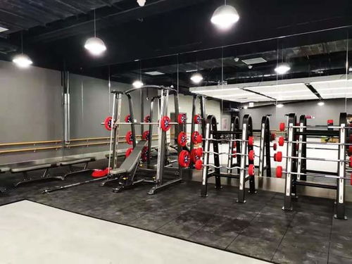 積極備戰(zhàn),英派斯與你共赴冰雪之約