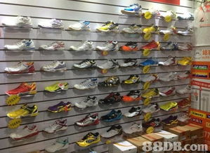 2020最新201個運動用品價格及商戶聯絡資訊